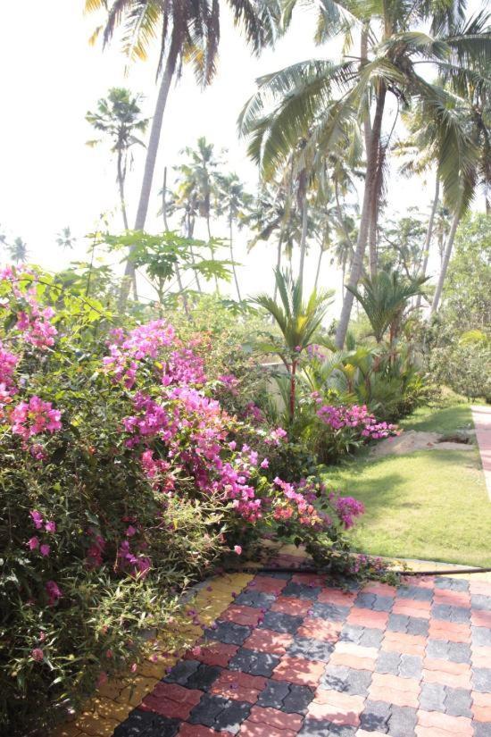 Alappuzha Fool'S Paradise Homestay מראה חיצוני תמונה